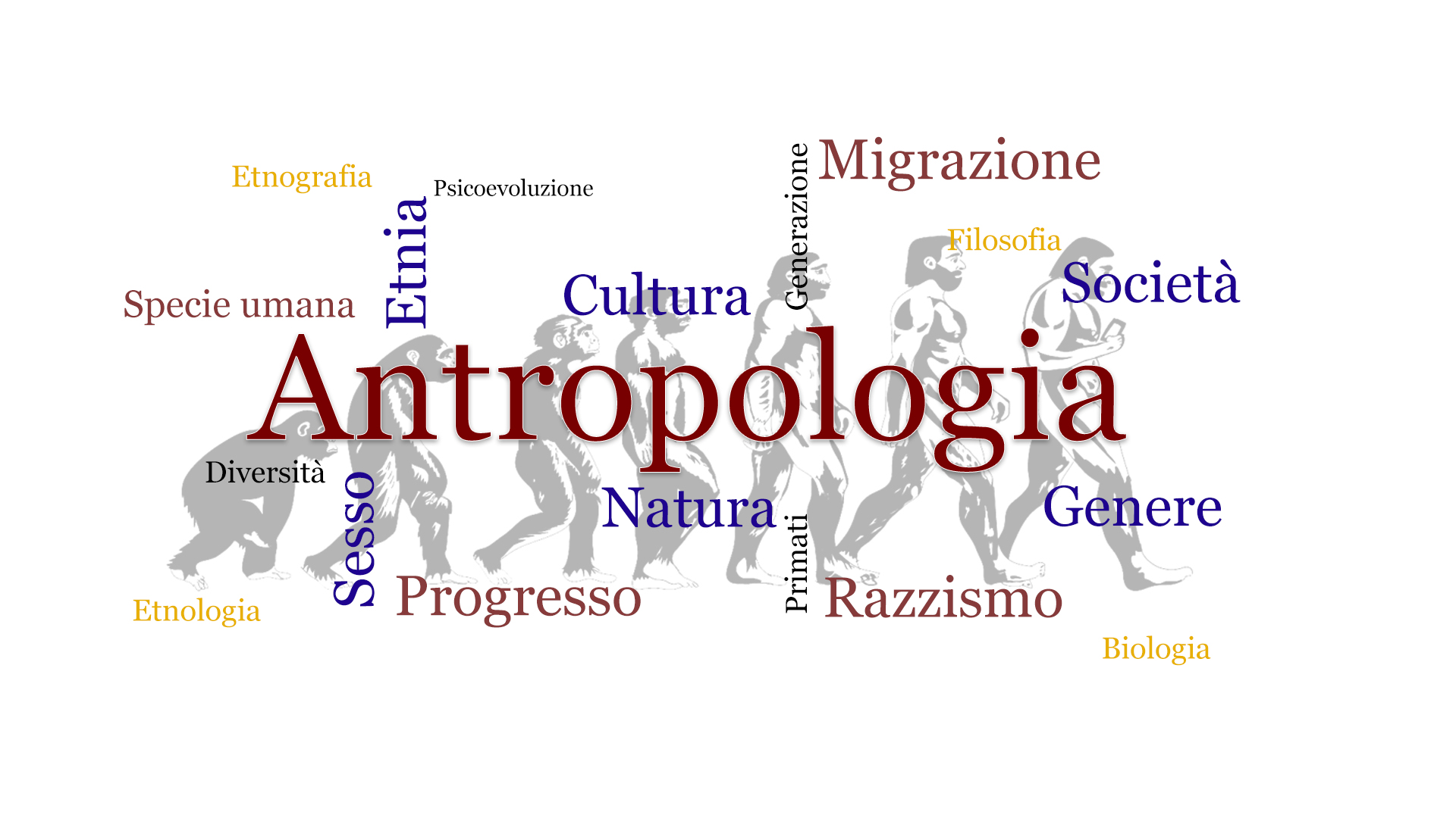 Quiz di Antropologia